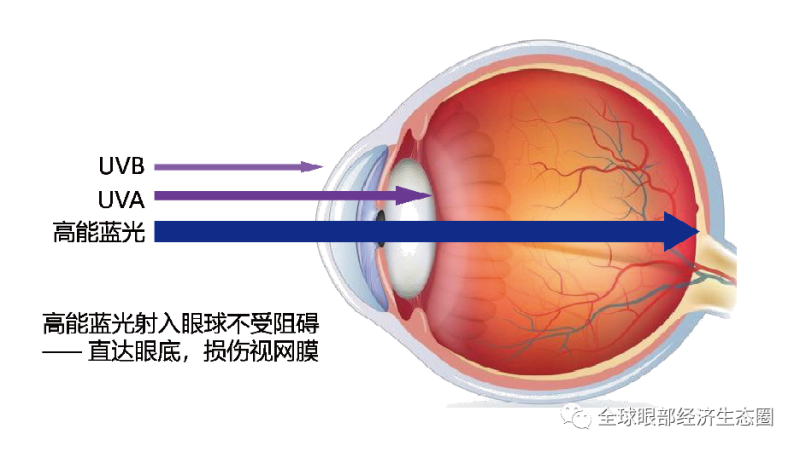 你的防藍光眼鏡戴對了嗎